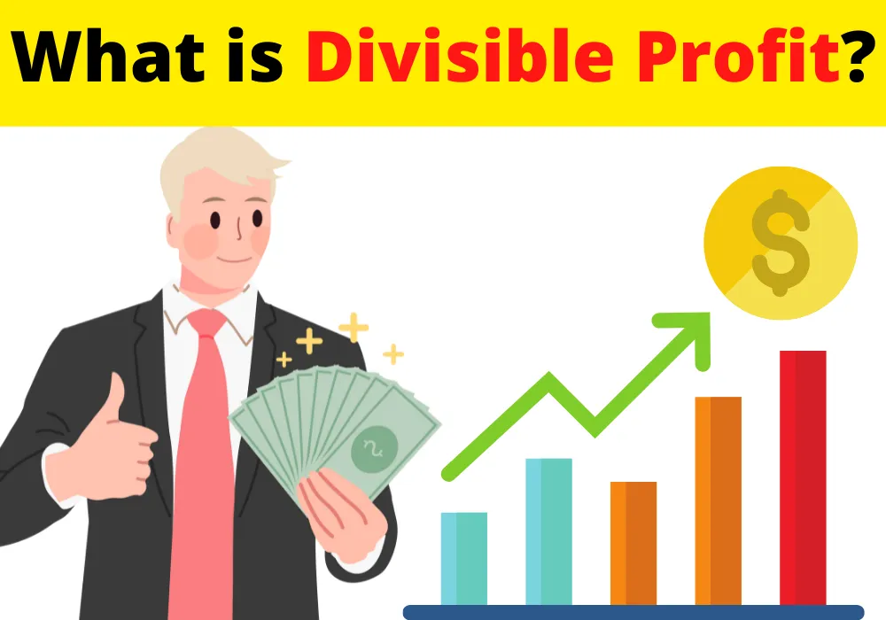 What is Divisible Profit?
