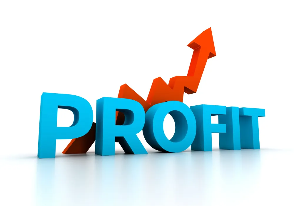 What is Divisible Profit