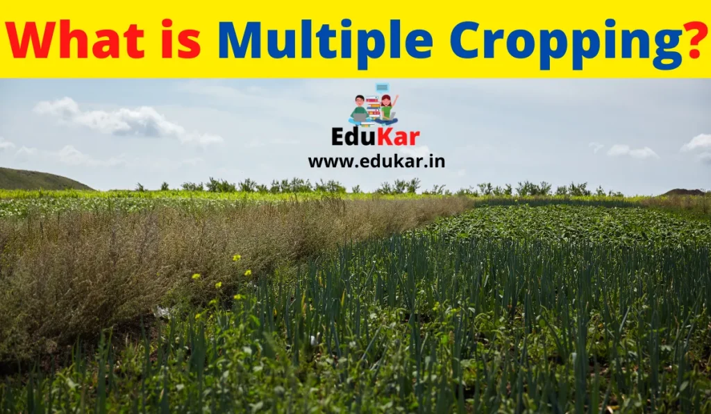 What is Multiple Cropping? Types, Advantages & Disadvantages