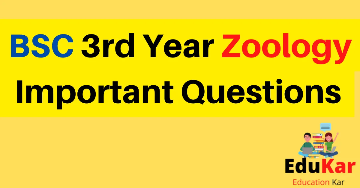 BSC 3rd Year Zoology Important Questions