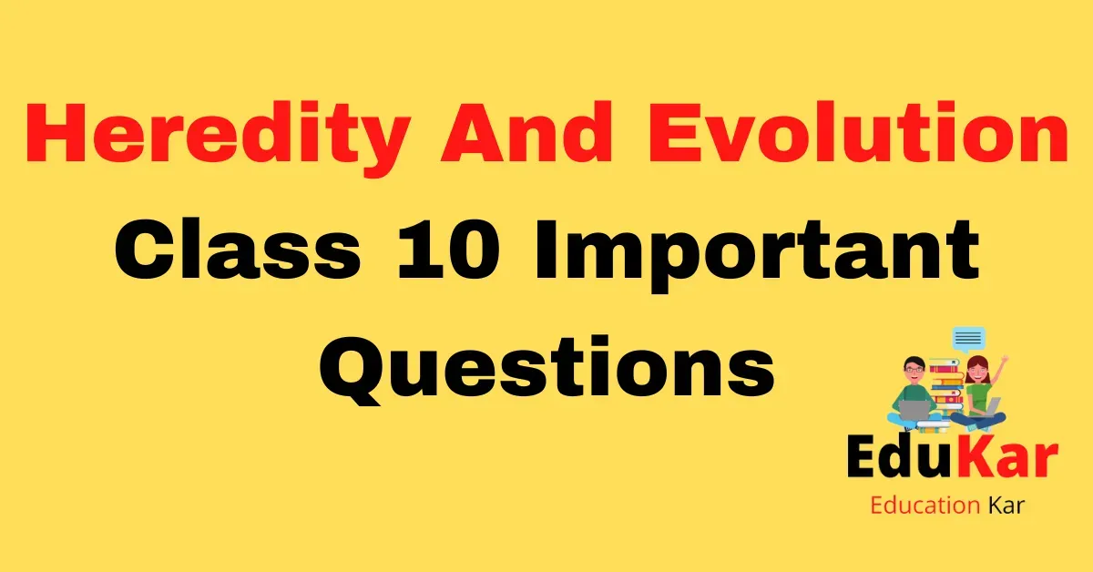 Heredity And Evolution Class 10 Important Questions