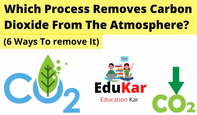 Which Process Removes Carbon Dioxide From The Atmosphere