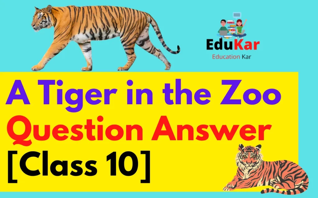 A Tiger in the Zoo Question Answer [Class 10]
