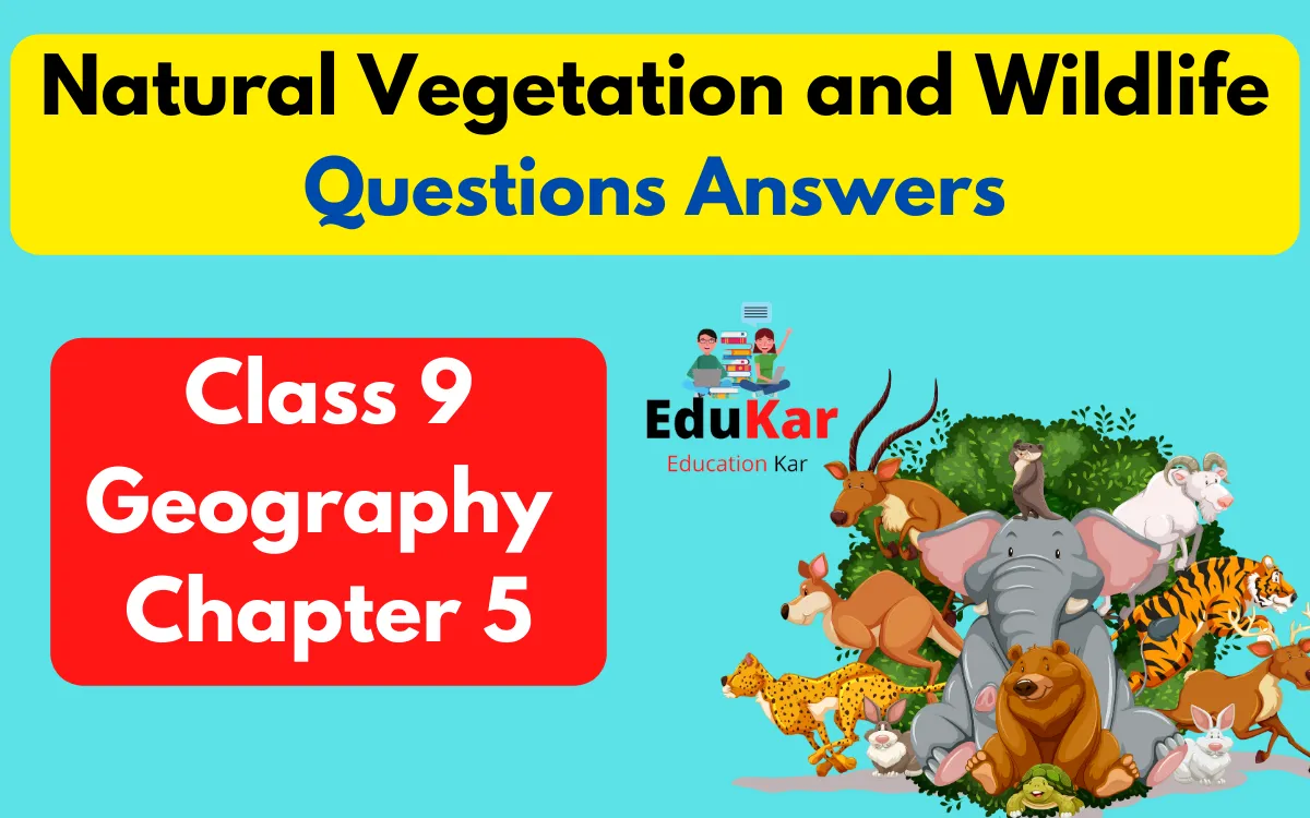 Natural Vegetation and Wildlife Class 9 Questions Answers [Class 9 Geography Chapter 5]