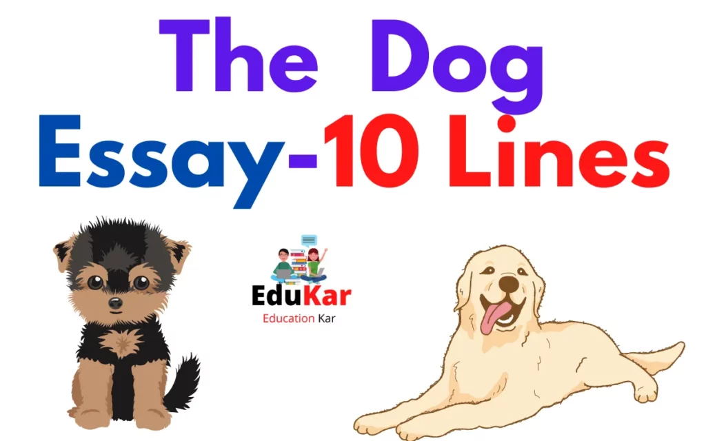 The Dog Essay -10 Lines