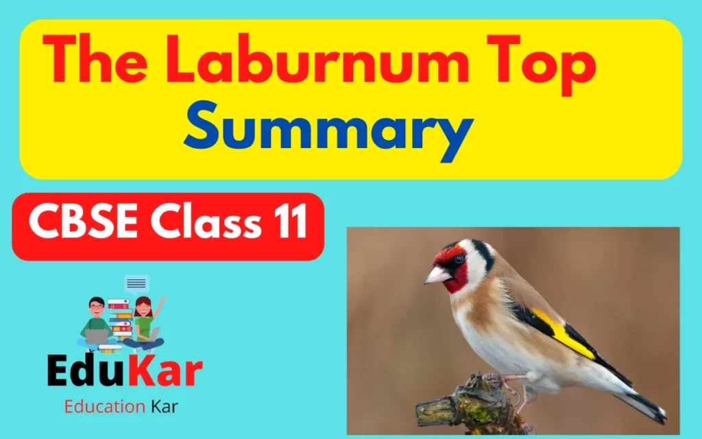 The Laburnum Top Summary class 11