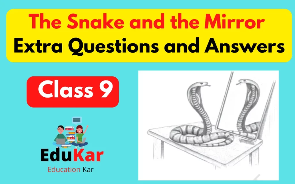 The Snake and the Mirror Extra Questions and Answers