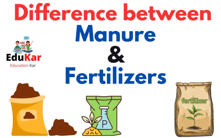 Difference Between Manure and Fertilizers