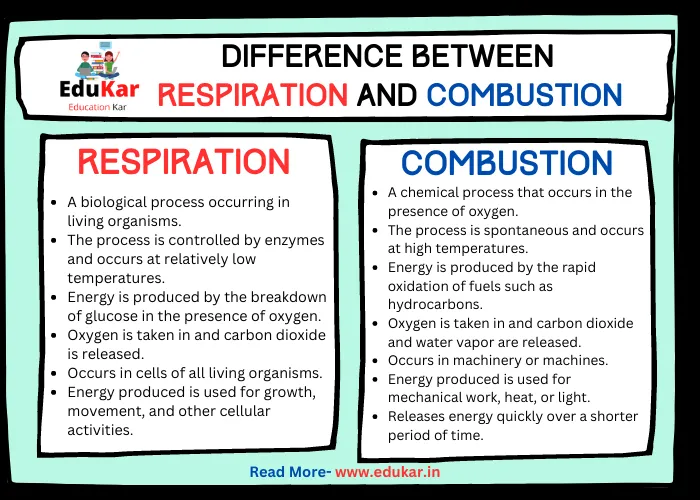 Difference Between Respiration and Combustion
