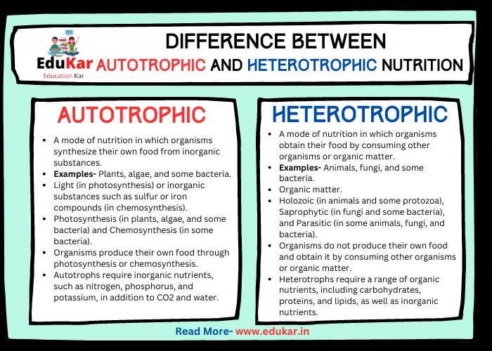 Difference between Autotrophic Nutrition and Heterotrophic