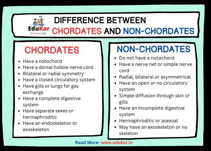 Difference between Chordates and Non-Chordates