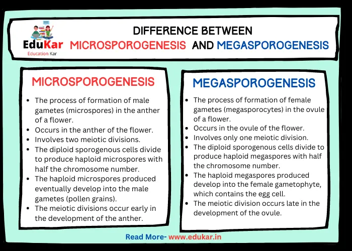 Difference between Microsporogenesis and Megasporogenesis