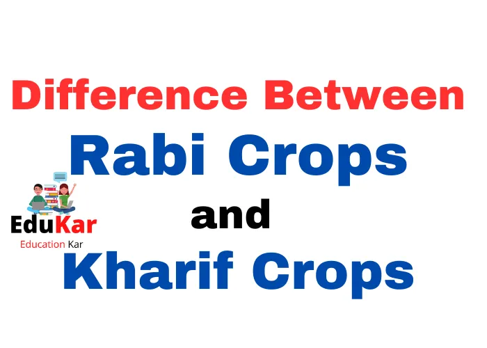 Difference between Rabi and Kharif Crops