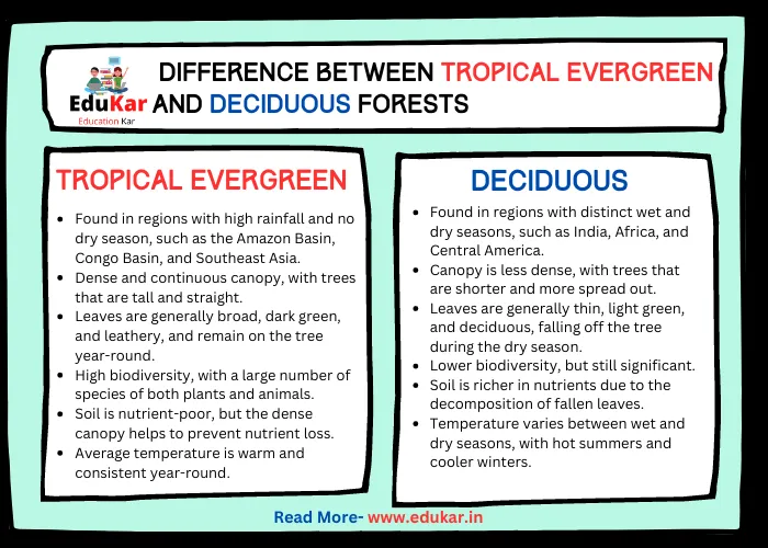 Difference between Tropical Evergreen and Deciduous Forest