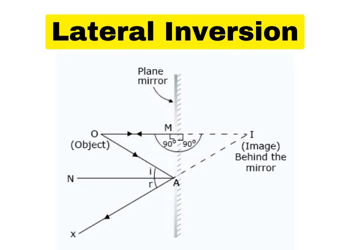 What Is Lateral Inversion Definition Examples Science Importance 